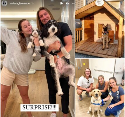 Trevor Lawrence’s $60 Million Secret: The Night That Changed Everything