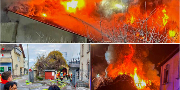 A peaceful vineyard morning turned into chaos—what sparked the massive blaze that drew over 100 responders?