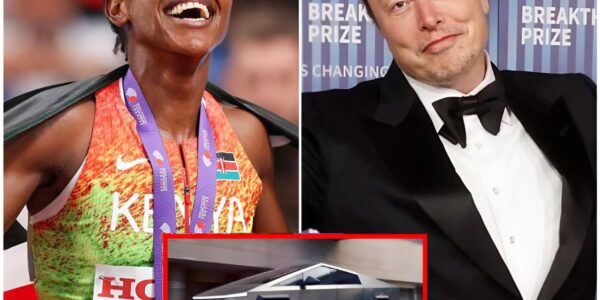 You will be the face of Tesla in Africa.” Elon Musk, chairman of the world’s largest technology conglomerate