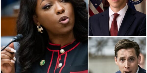 Senator Holly Faces Sweeping Academic Fraud Allegations from Rep. Crockett in Explosive Judiciary Committee Hearing - News