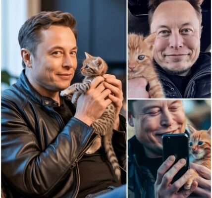 Elon Musk reveals a rare human moment as a kitten and a sudden fire draw him into an unexpected escape.