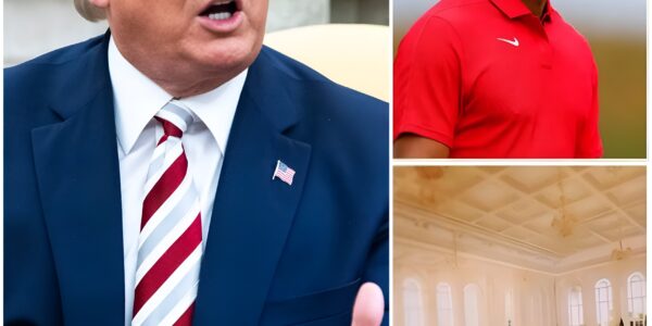 🔥 Tiger Woods Calls Out Donald T.r.u.m.p at Gala — The Moment That Stunned America 💥 – SUN