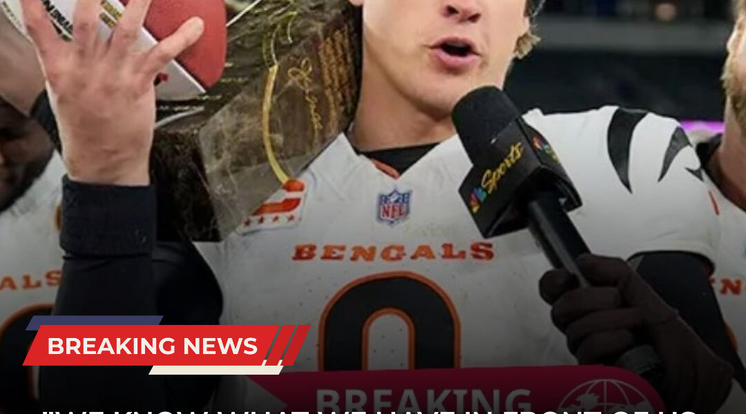 Joe Burrow Returns With a Statement: Bengals QB Delivers Strong Message on Playoffs After Dominant Comeback Win