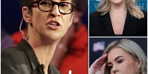 RACHEL MADDOW READS KAROLINE LEAVITT’S FULL BIO ON LIVE TV — THEN DROPS THE LINE THAT FROZE THE ENTIRE STUDIO...