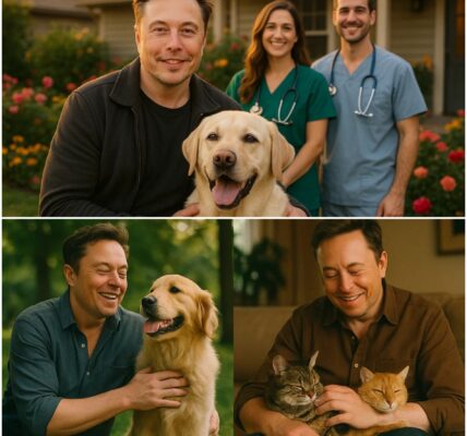 Elon Musk Ignites the Internet — £10 Million ‘Paradise for Stray Animals’ Set to Transform Lives Worldwide