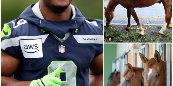 Kenneth Walker III Turns Victory Into Compassion: The Story Behind the Seahawks’ Star and His Shelter for Abandoned Horses