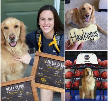 Caitlin Clark Honors Late Dog with $1 Million Donation to Dog Rescue Fund