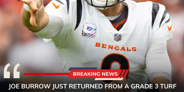 “Bro Cut Out His Soft Organs”: NFL Fans React to Joe Burrow’s Wild Claim About Playing Through Serious Injury