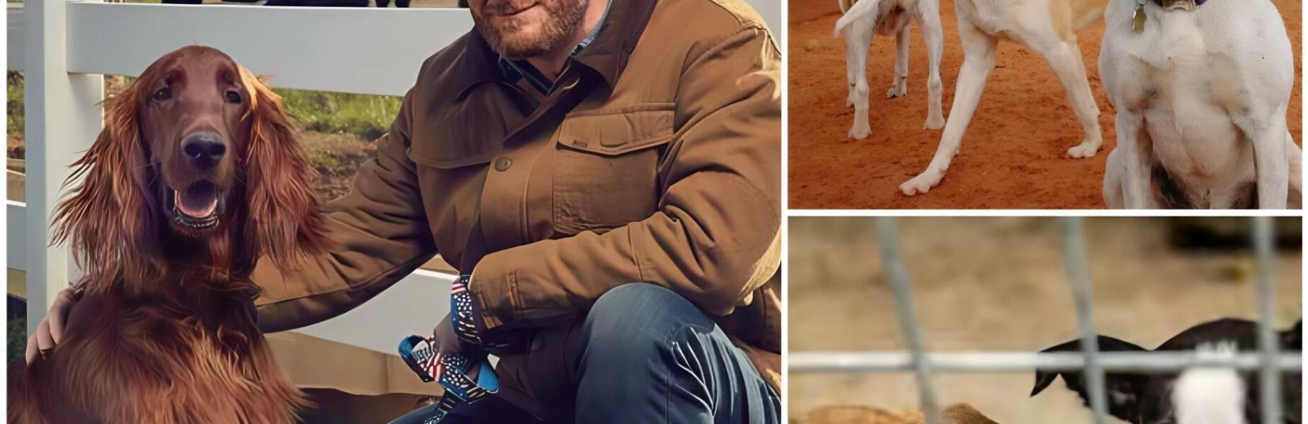 Dale Earnhardt Jr. Races Toward His Greatest Victory: $5 Million Sanctuary for Stray Dogs Opens in North Carolina