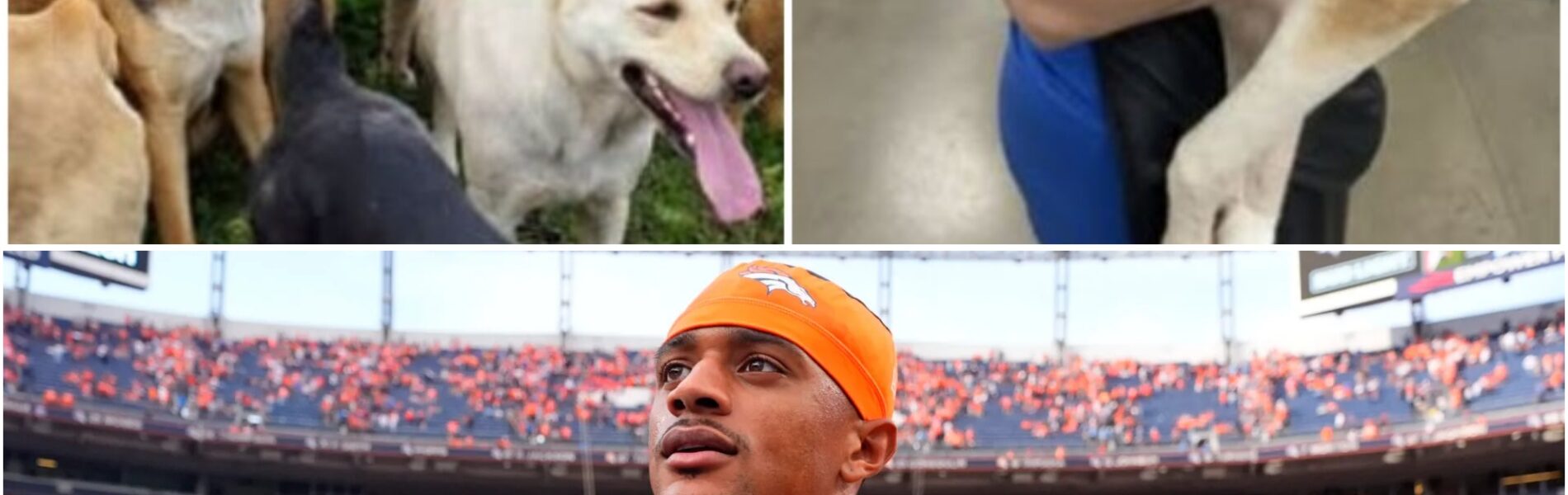 BREAKINGNEWS: Pat Surtain II’s secret $5 million project shocks Broncos fans — a rescue haven built in silence, designed to change America