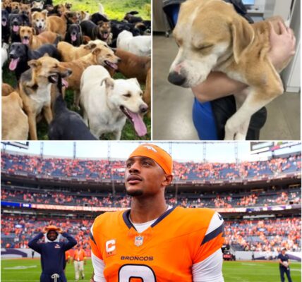BREAKINGNEWS: Pat Surtain II’s secret $5 million project shocks Broncos fans — a rescue haven built in silence, designed to change America