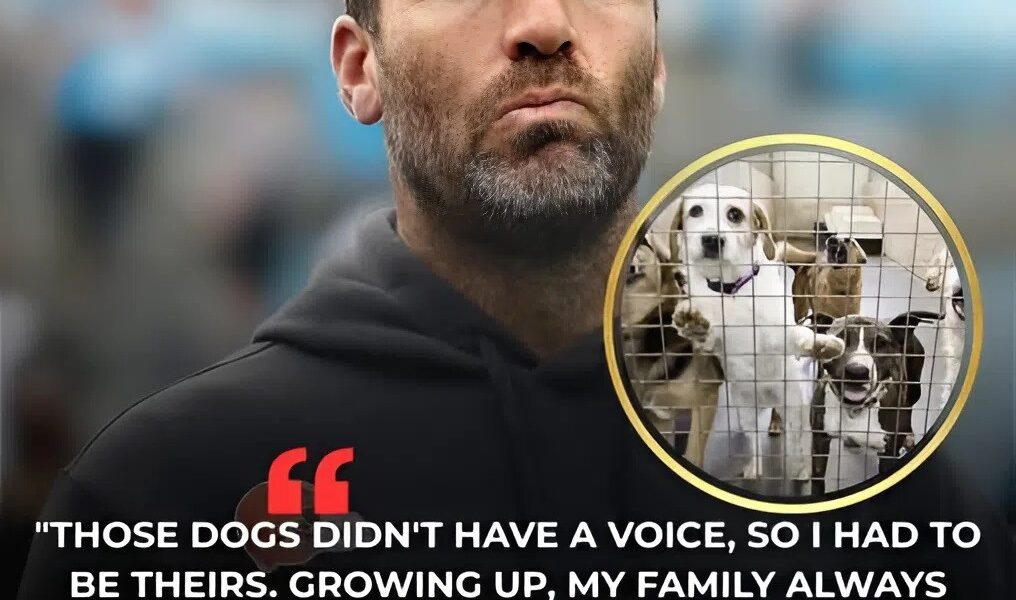 O HEARTWARMING: Joe Flacco Saves 19 Dogs From Euthanasia in Emotional Thanksgiving Weekend Rescue