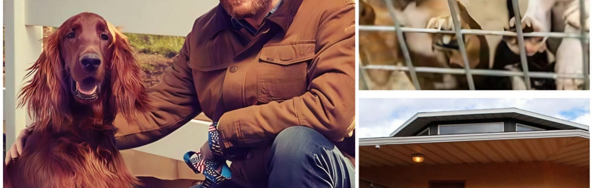 Dale Earnhardt Jr. Races Toward His Greatest Victory: $5 Million Sanctuary for Stray Dogs Opens in North Carolina.