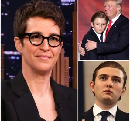 The Night Rachel Maddow Silenced a Debate With One Line — and Reminded Millions What Real Expertise Sounds Like