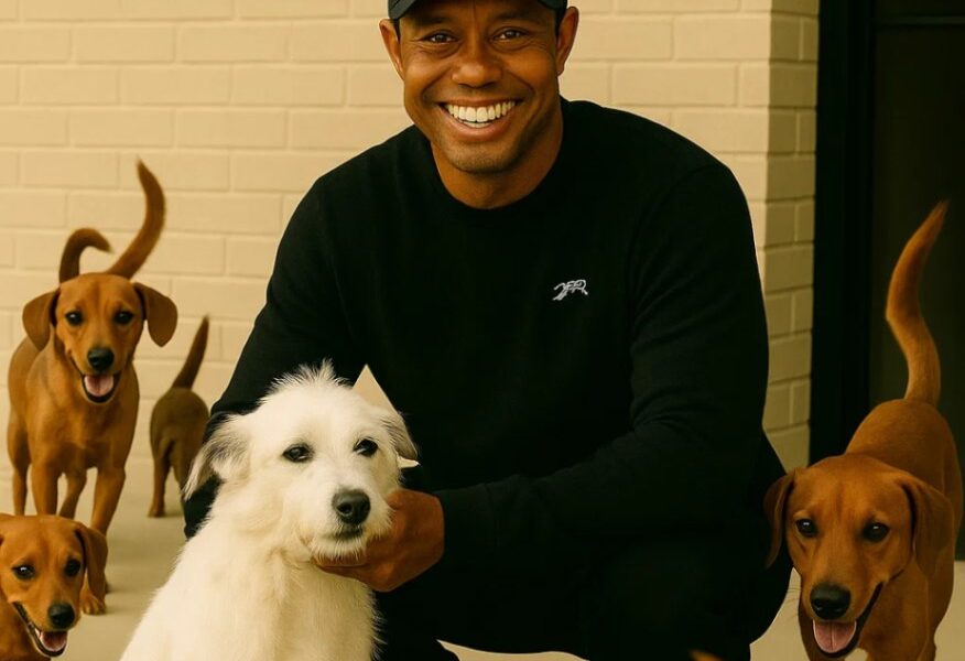 Tiger Woods’ Heartwarming Rescue: Saving 39 Dogs from Certain Fate – SUN