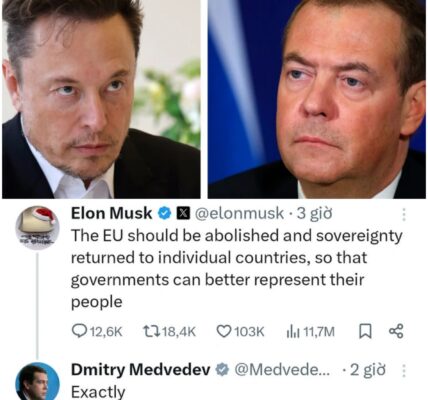 Elon Musk Declares War on EU After €120M Fine – Medvedev Backs Him