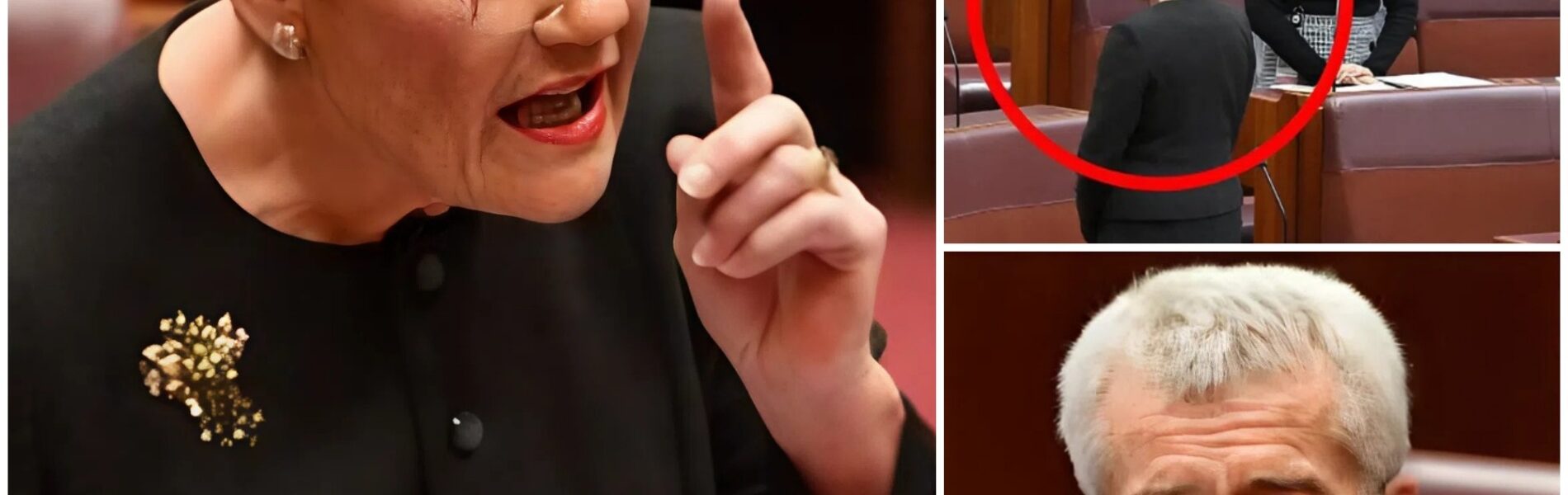 “WAKE UP, AUSTRALIA!” Pauline Hanson and One Nation Senators Turn Their Backs During Welcome to Country, Senate Erupts Into Chaos