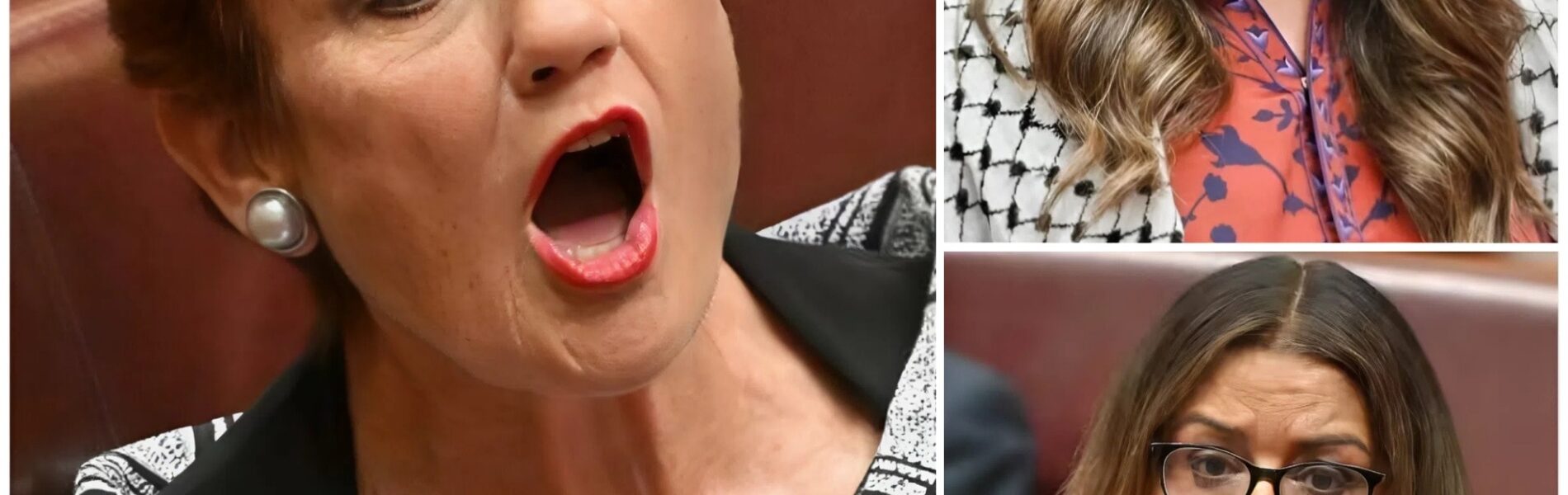 “No one is above the national interest – disclose your funding now!” One Nation Senator Pauline Hanson stirred up controversy again in the Senate when she publicly challenged the credentials of independent Senator Mehreen Faruqi ...
